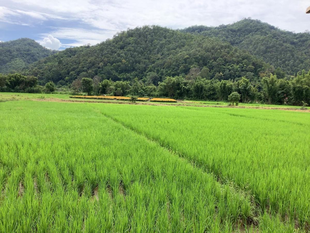 Ban Mae Sap Nua บ้านสวนวิวทุ่ง מראה חיצוני תמונה