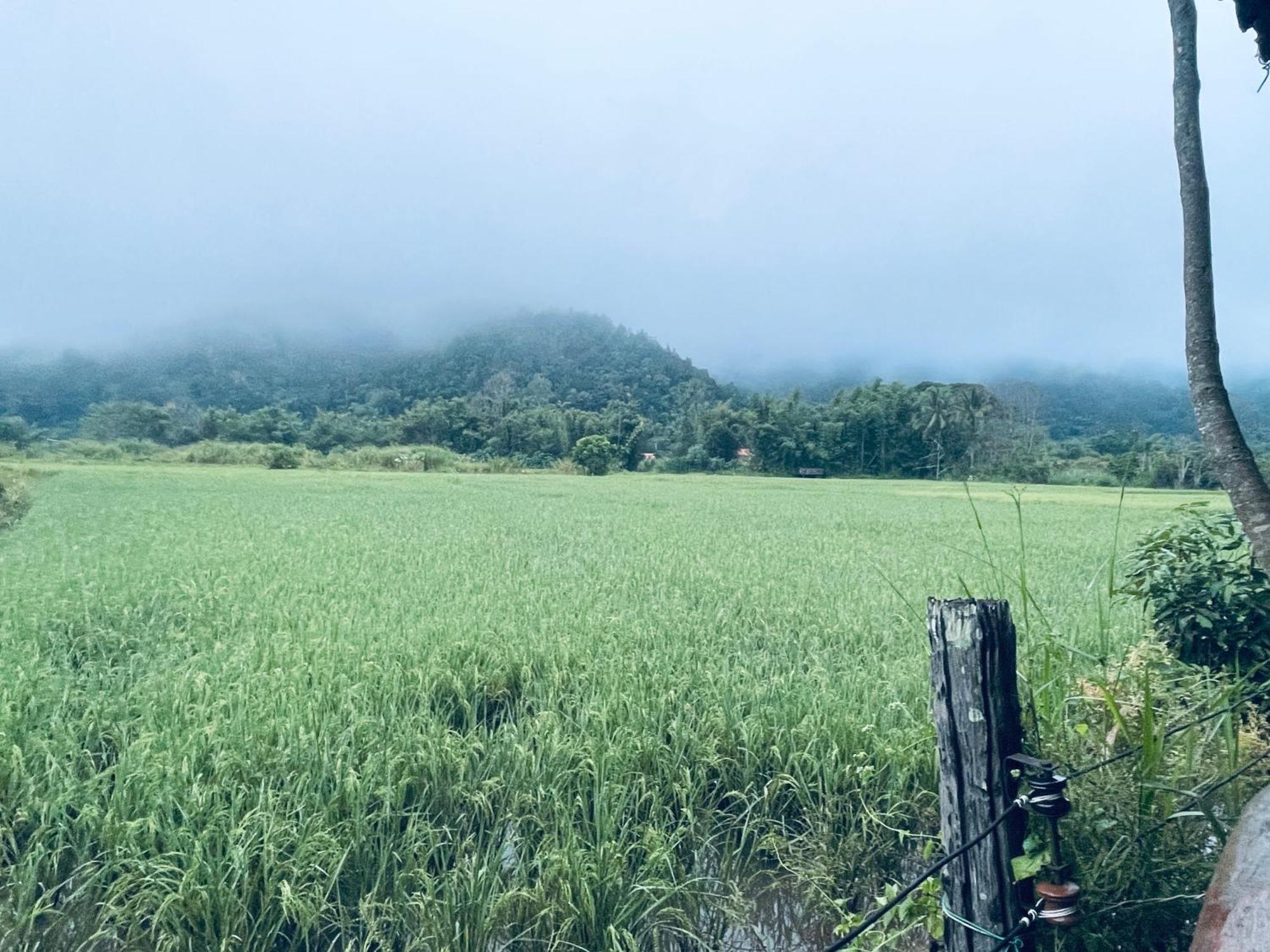Ban Mae Sap Nua บ้านสวนวิวทุ่ง מראה חיצוני תמונה