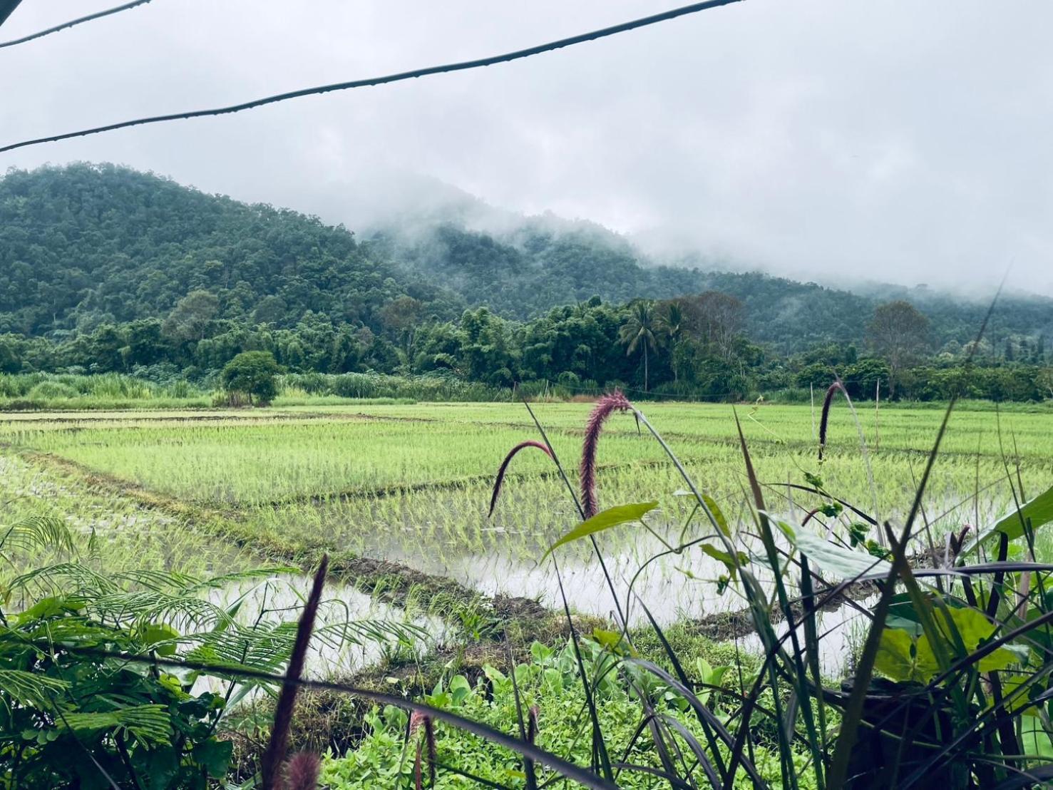 Ban Mae Sap Nua บ้านสวนวิวทุ่ง מראה חיצוני תמונה
