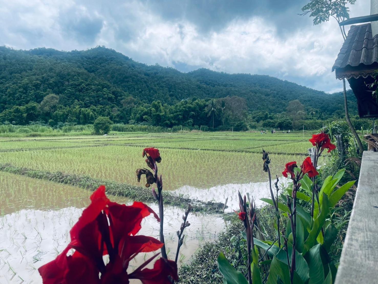 Ban Mae Sap Nua บ้านสวนวิวทุ่ง מראה חיצוני תמונה