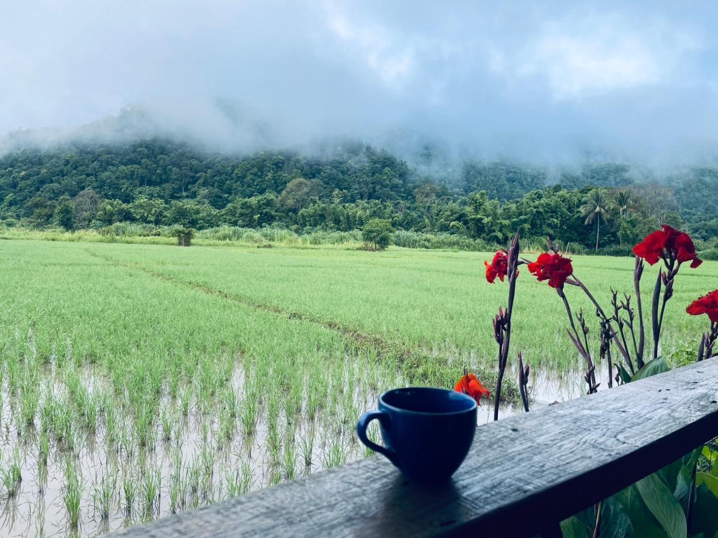 Ban Mae Sap Nua บ้านสวนวิวทุ่ง מראה חיצוני תמונה