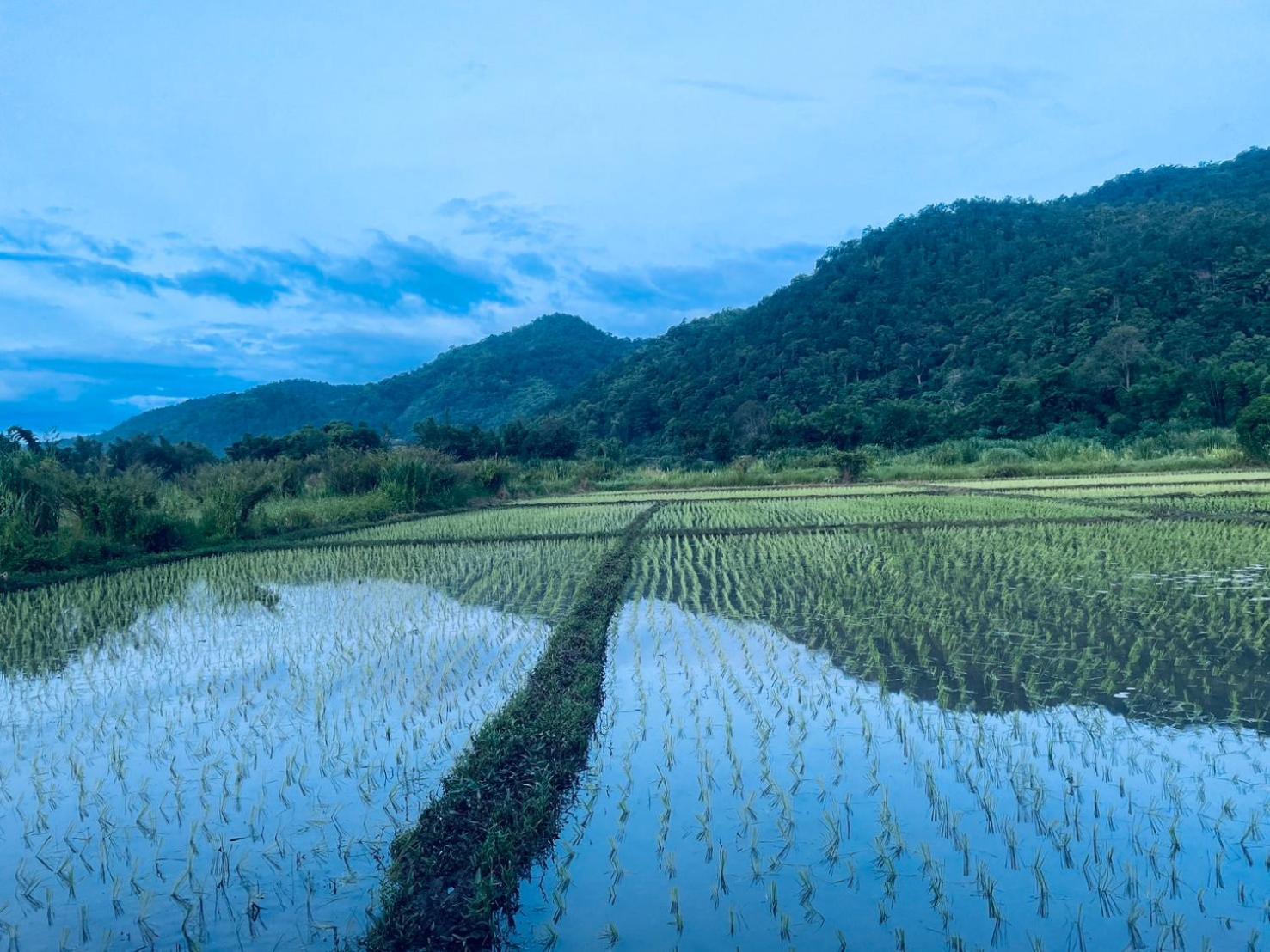 Ban Mae Sap Nua บ้านสวนวิวทุ่ง מראה חיצוני תמונה
