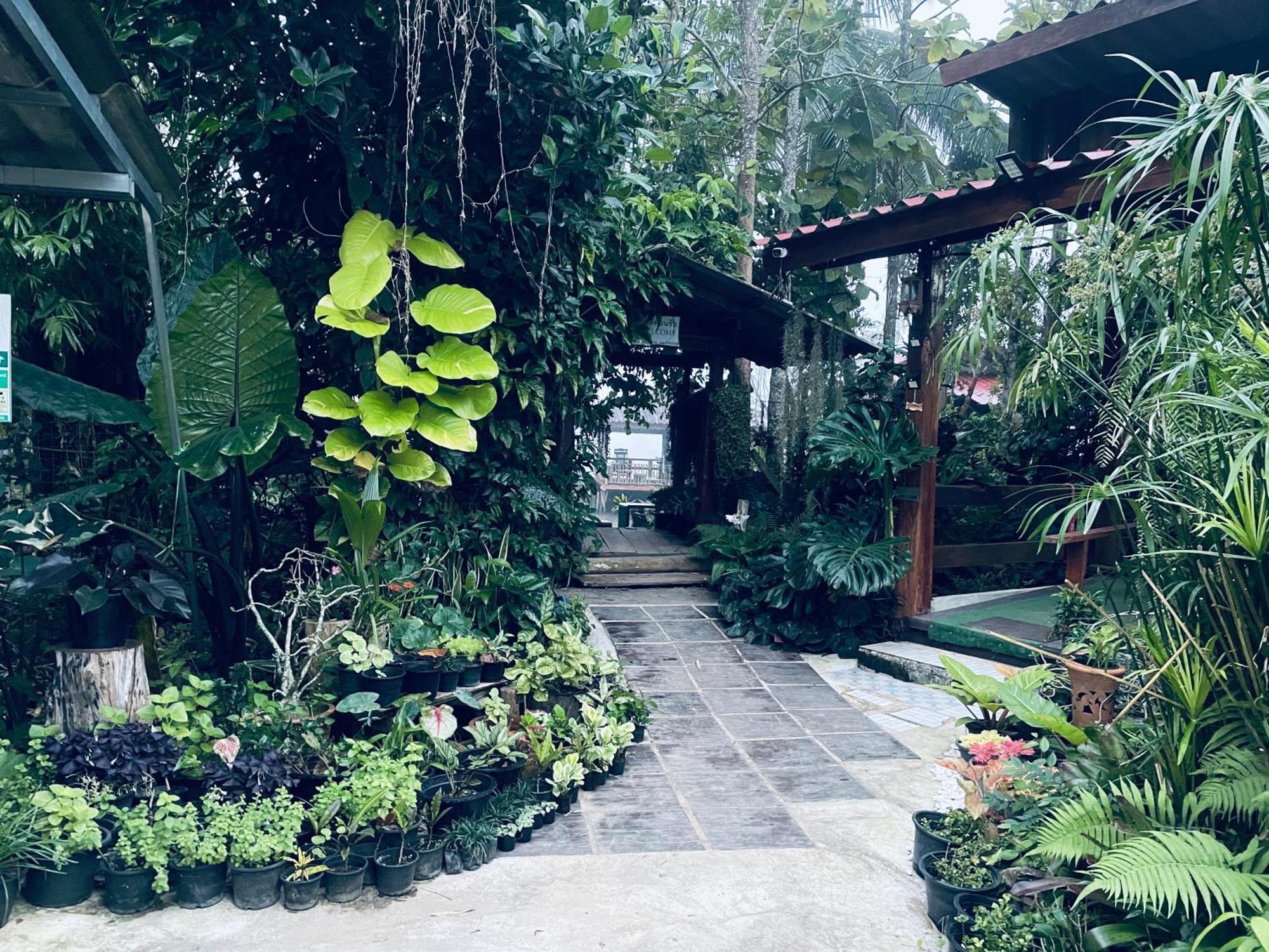 Ban Mae Sap Nua บ้านสวนวิวทุ่ง מראה חיצוני תמונה