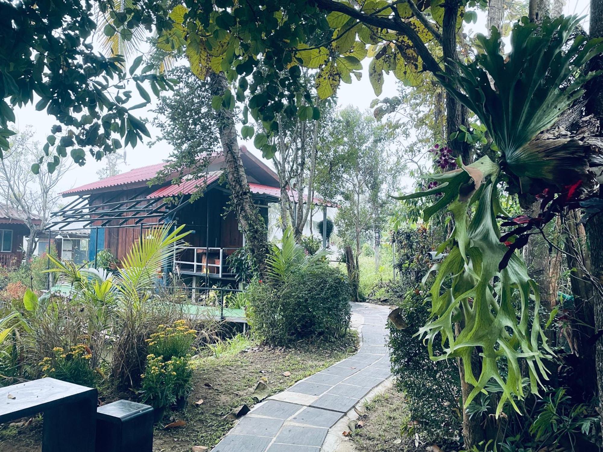 Ban Mae Sap Nua บ้านสวนวิวทุ่ง מראה חיצוני תמונה